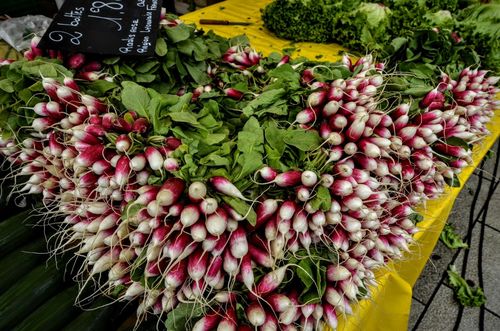 Market Radishes