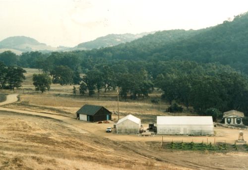 First nursery buildings