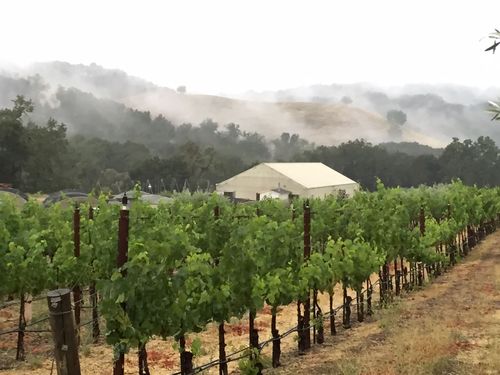 Mist and rain