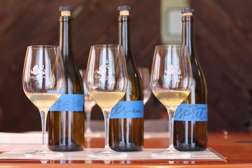 Blending 2014 whites - after