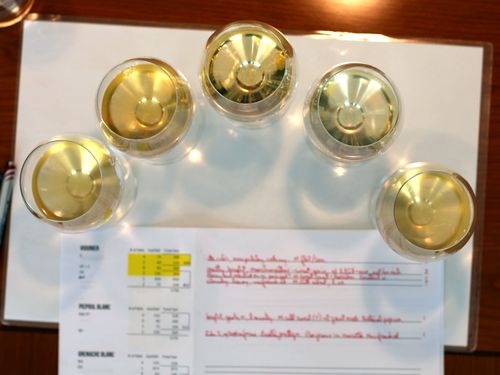 14_white_blending_glasses