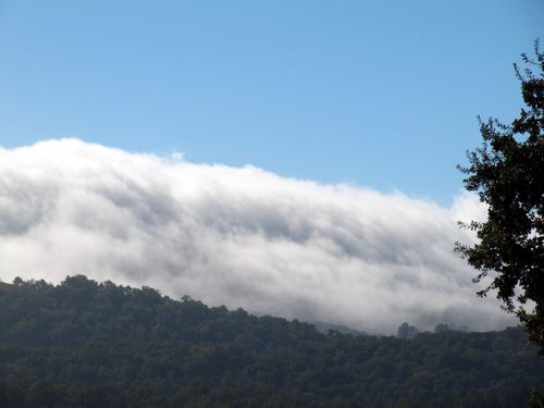 Changing seasons fog bank