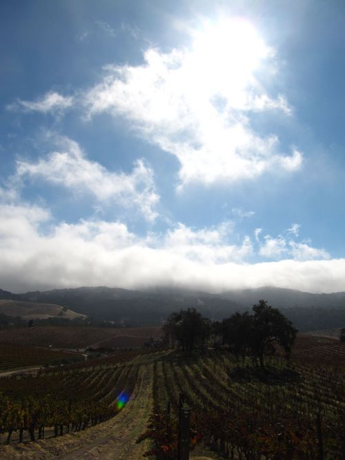 Changing seasons long view