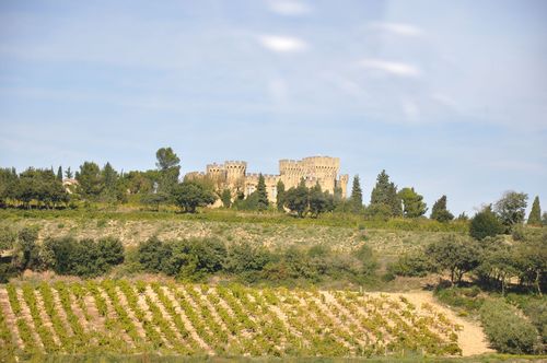 LM - Castle and vines