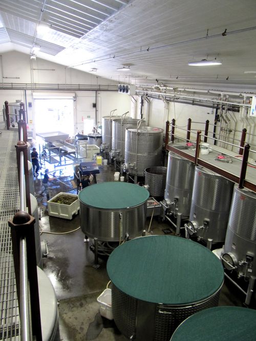 Full cellar