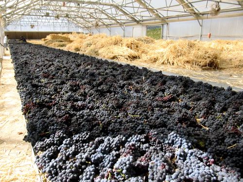 Sacrerouge on benches