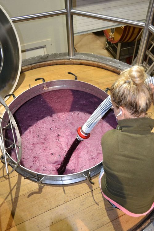 PumpOver Syrah