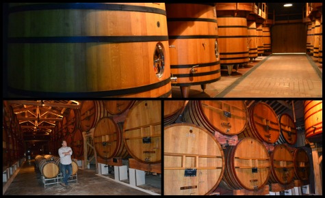 PicMonkey Collage_Foudre Room