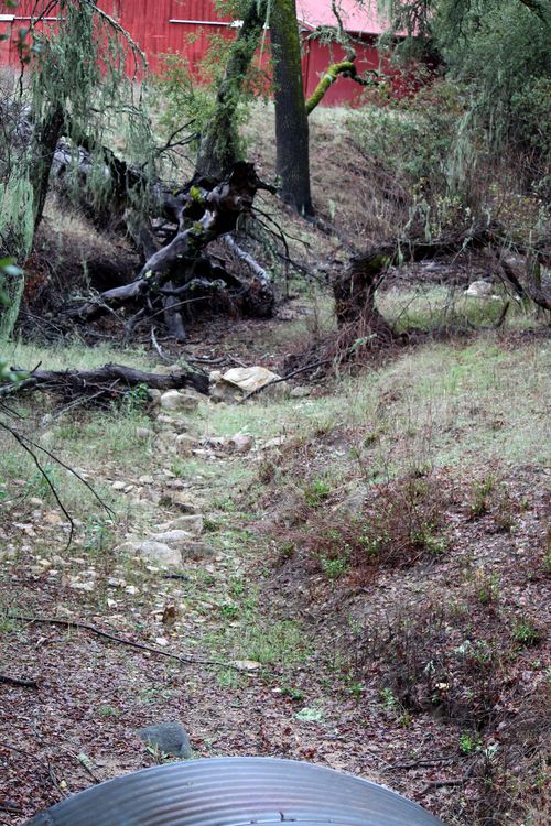 Mar 02 View of Las Tablas Creek
