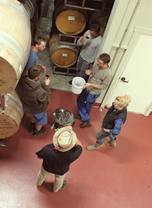 Harv13_CellarTasting