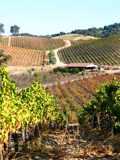 Looking over the straw bale barn
