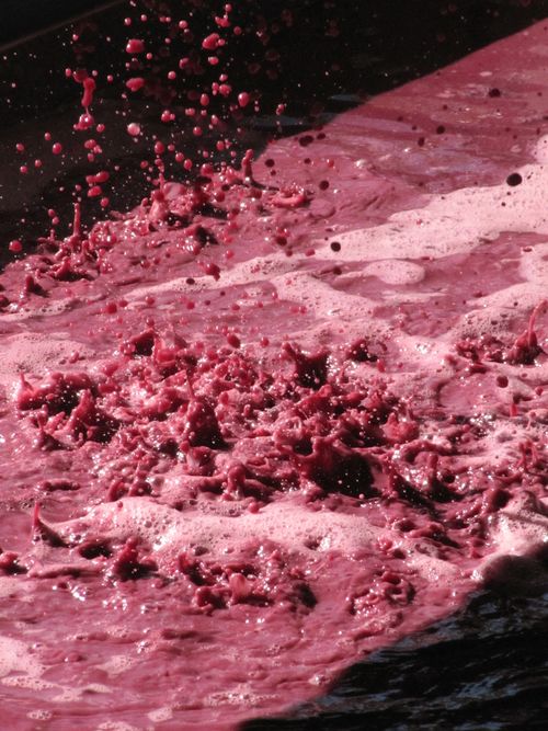 Red Dripping into Pan