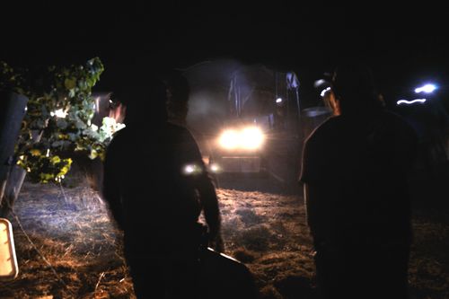 Night Harvest headlights