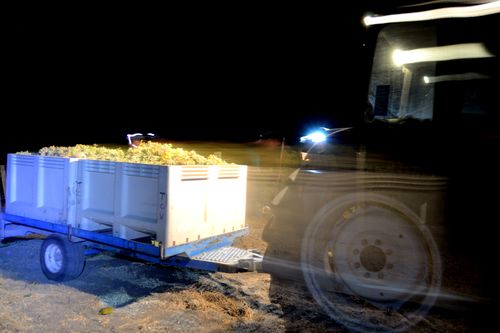 Night Harvest tractor moving