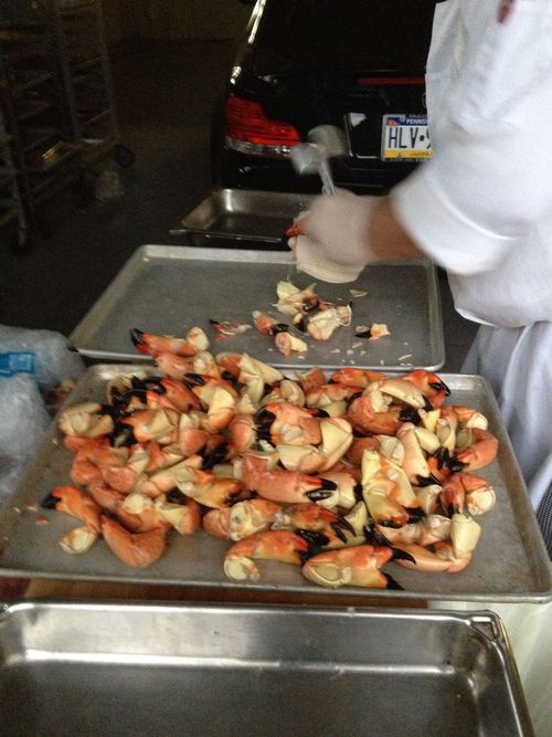 Stone crab