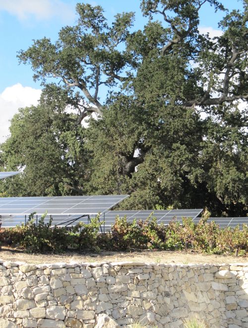 Rain Cleared October 2012