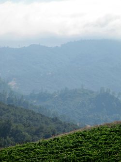 Fog bank july 2012 2