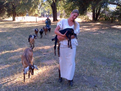 Shandi with goats