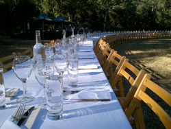 Set table