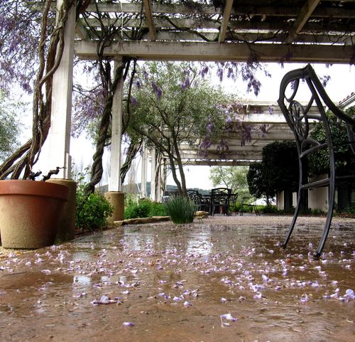 Rainy Patio