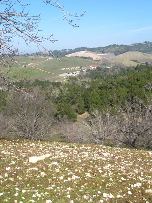 Looking toward Tablas_0001