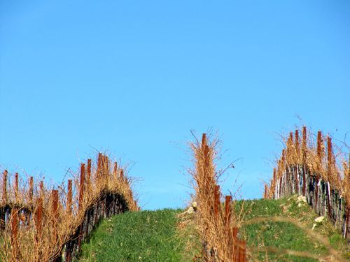 Blue_winter_sky_0001