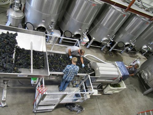 Harvest2011_0002