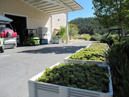 Harvest2011_0001