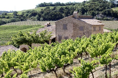 Vinsobres_house_with_vines