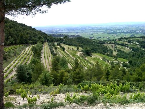 Gigondas_view