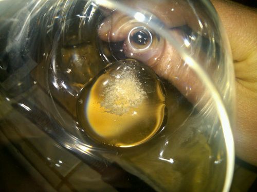 IMG00191-20110512-2144