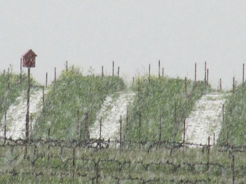 Ice_and_snow_0008