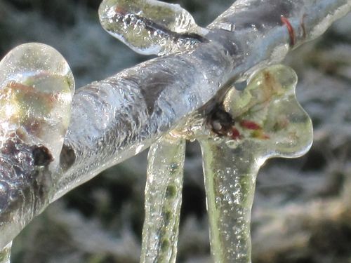 Ice_and_snow_0002