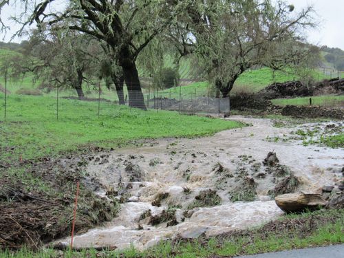 Post-rainstorm_0002