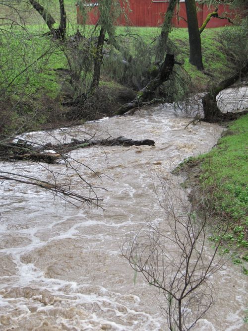 Post-rainstorm_0003