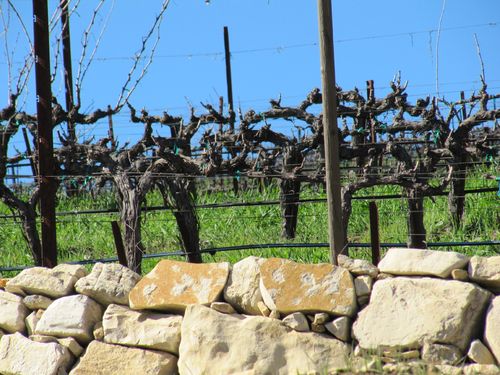 Weatherchange_sun_0001