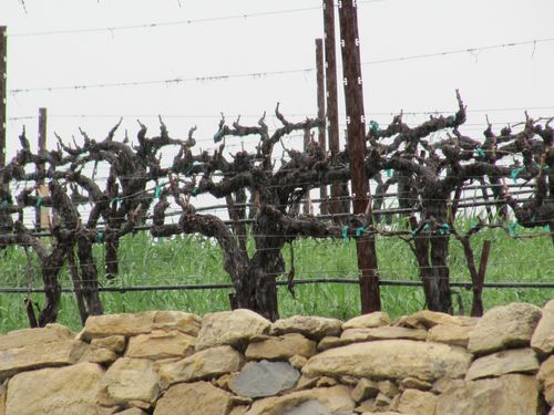 Weatherchange_rain_0001