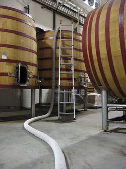 First_Syrah_2009_0006