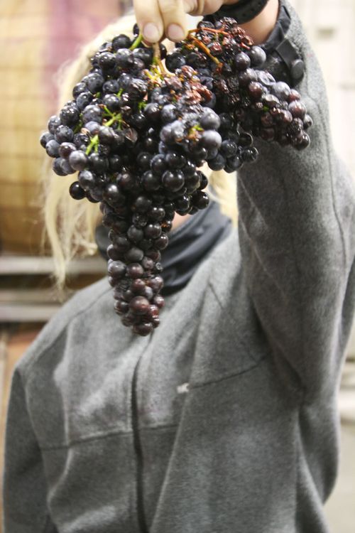 Chelsea_last_cluster