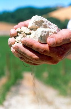 Rocks in Hands Large