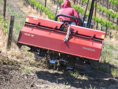 Vineyard_cleanup_0006