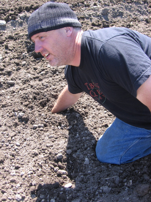 Vineyard_cleanup_0010