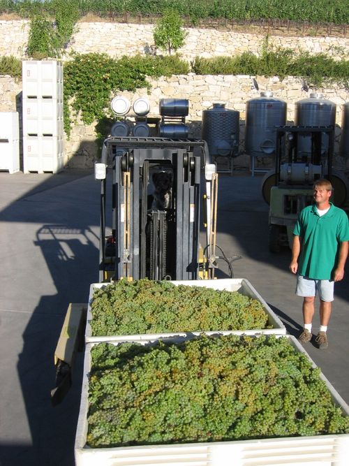 Harvest_2009_begins_0001