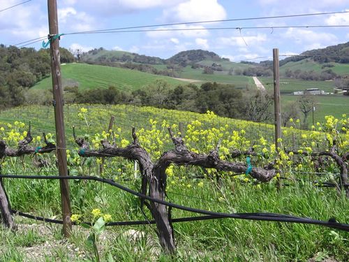 West_paso_topography