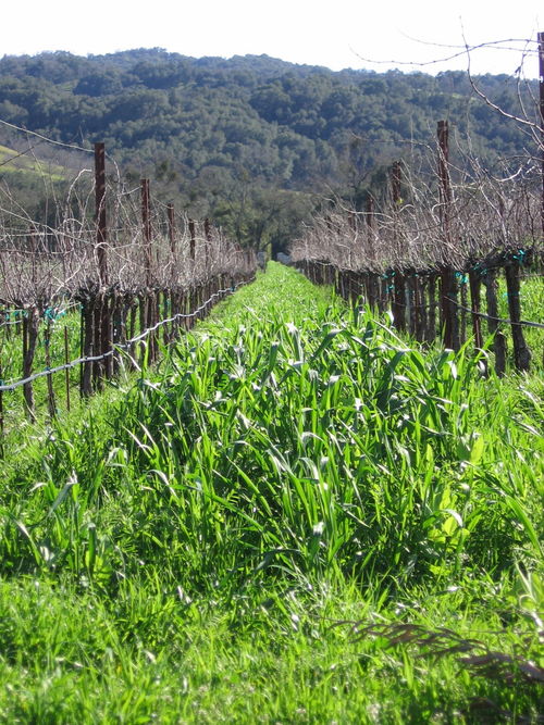 Signs_of_spring_0001