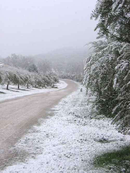 Main road out into the vineyard