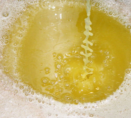 Olive_pressing_2008_0007