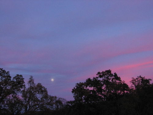 December_Sunsets_0001