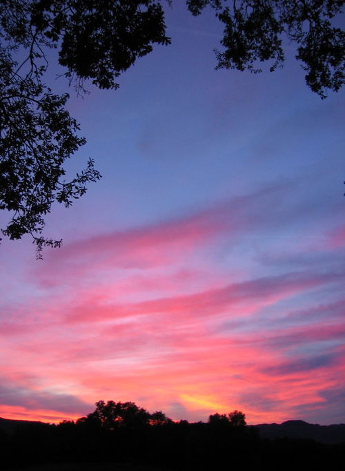 December_Sunsets_0006_cropped