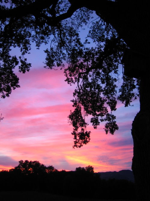 December_Sunsets_0005